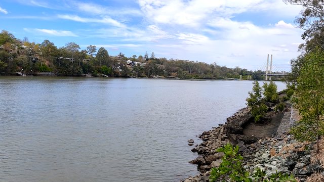 The Brisbane River beside UQ with a cable-stayed bridge in the distance
