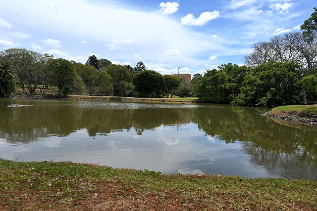 UQ Lakes seen from a grass bank with trees reflected in the water
