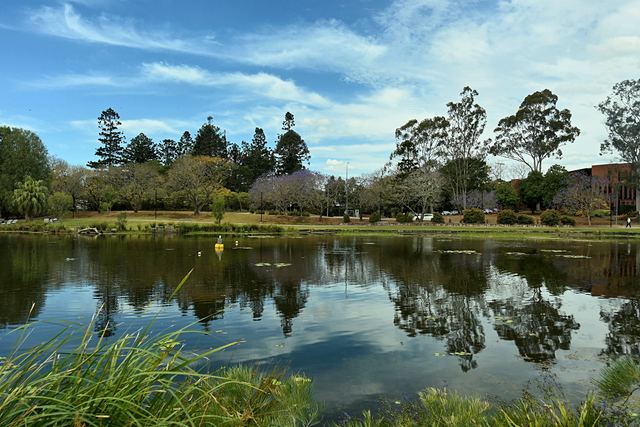 Lake and trees with reflections on a sunny day at UQ Lakes
